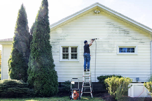 Best Pressure Washing Siding  in Matheny, CA