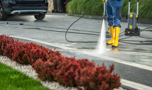 Best Deck Cleaning Services  in Matheny, CA